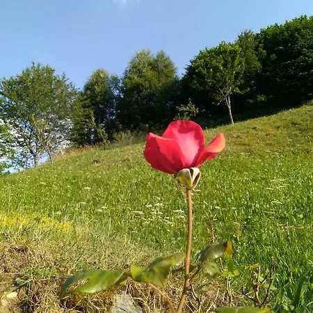 Agriturismo Ca Orlandini *