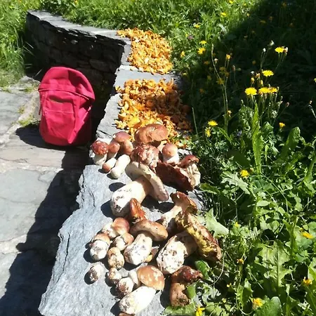 Κατάλυμα σε φάρμα Agriturismo Ca Orlandini