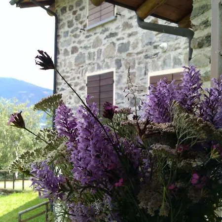 Agriturismo Ca Orlandini